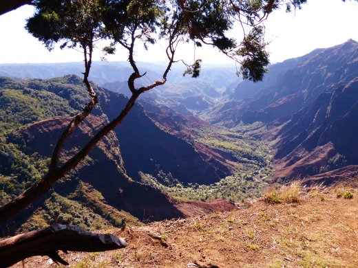 Waimea Canyon
