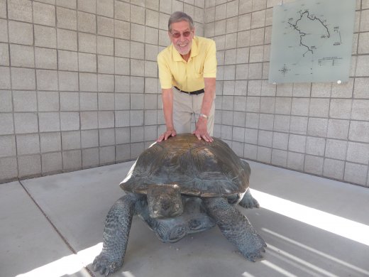 Ed with Tortoise Bronze