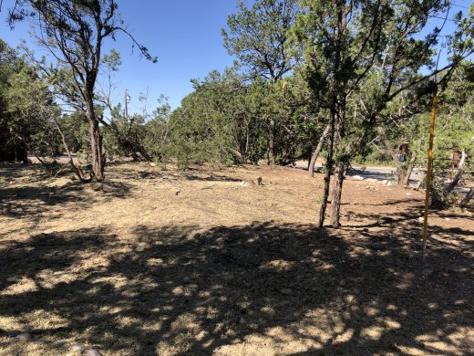 Area Cleared by Picnic Table