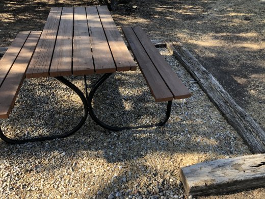 Picnic Area - Lots of Needles