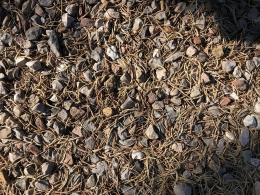 Picnic Area - Close up view of the Mess