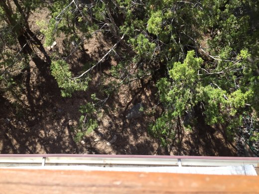 Front Deck. Pre Tree Trimming.Looking Down