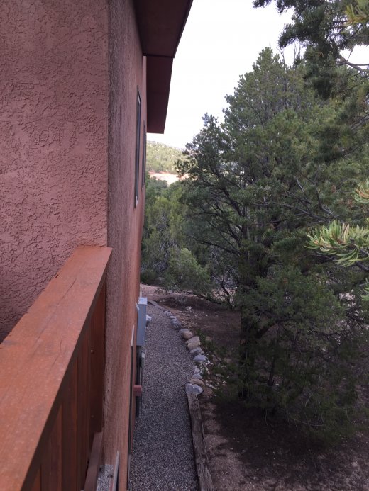 Back of the House.Pre Tree Trimming