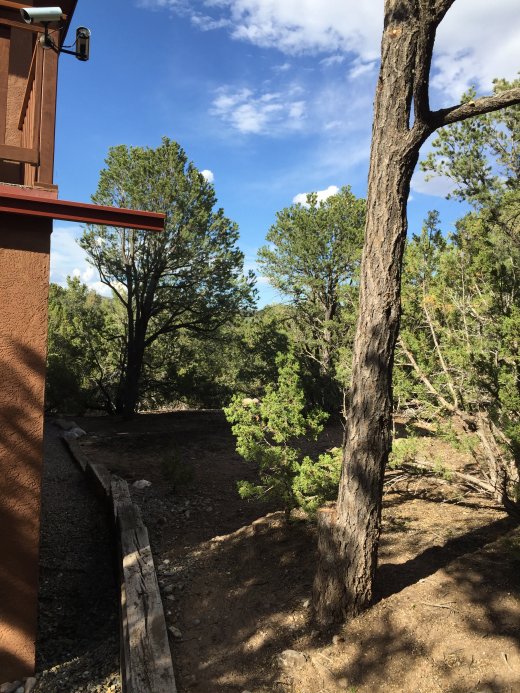 Job Done.Back of House