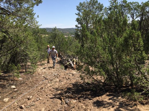 Clearing the Back Acreage